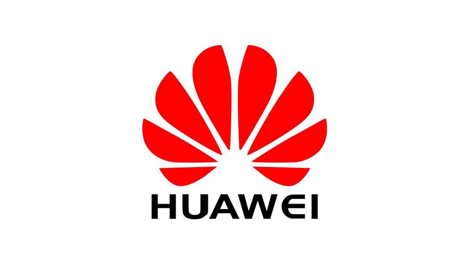Partner VII